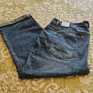 Lane Bryant Boyfriend Jeans